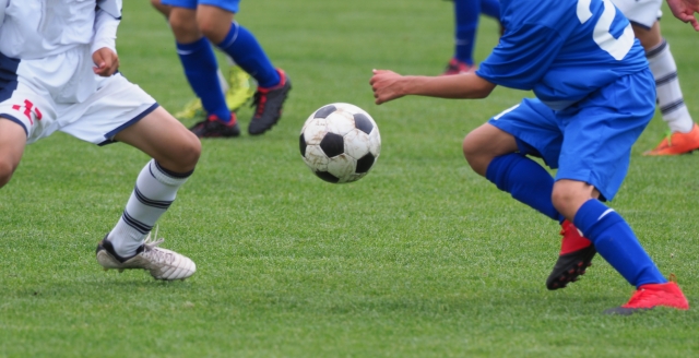 優バスクマモト　貸し切りバス　団体旅行　観光　マイクロバス　運転手付き　熊本　宇城市